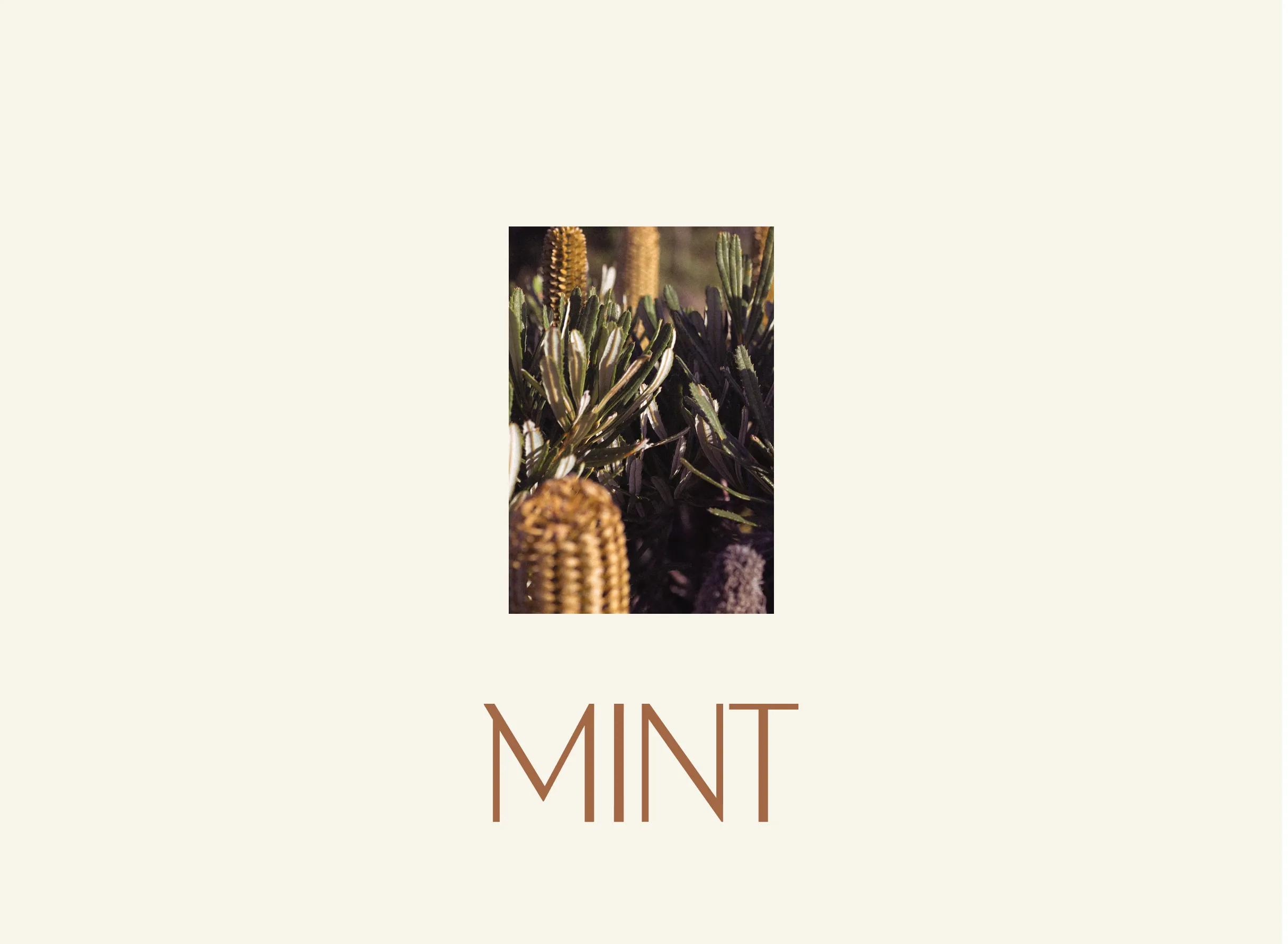 Mint Clinic